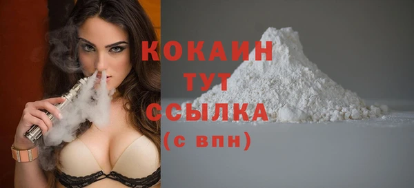 хмурый Бронницы
