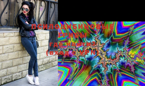 хмурый Бронницы