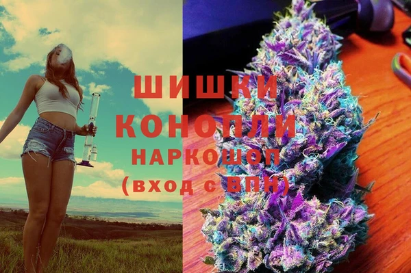 spice Бугульма